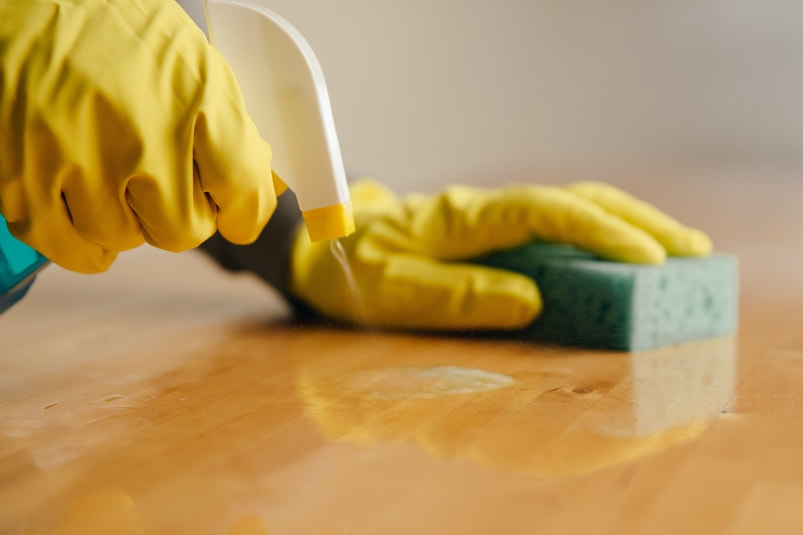 Cleaning every surface is crucial for preventing germs.